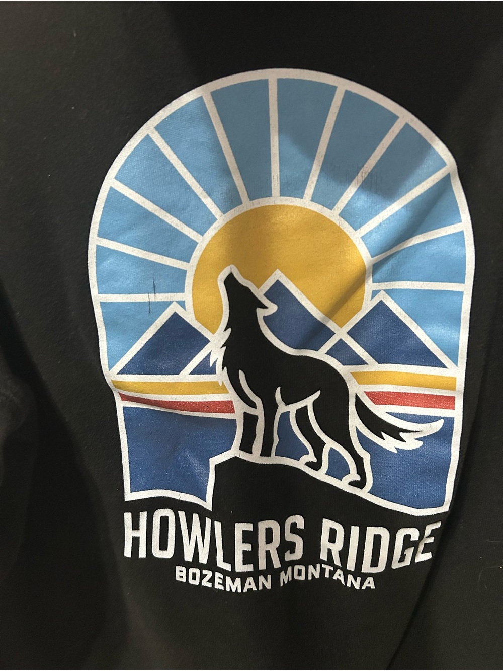 Men's Howlers Ridge Hoodie - Picture 3 of 8